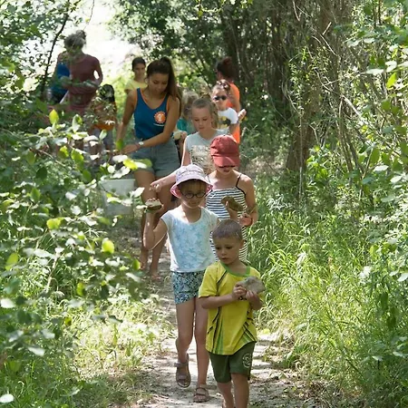 מלון Camping L'hirondelle Drome